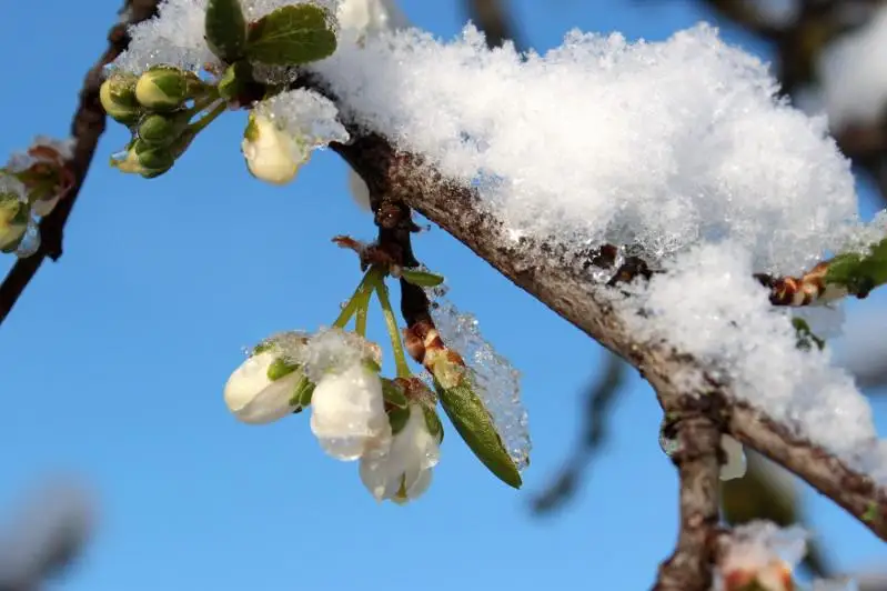 До 20 градусов тепла ожидается в апреле в СКО