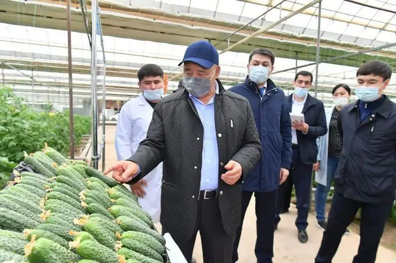 Оздоровительный центр построят в одном из районов Туркестанской области