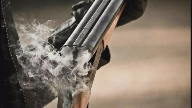 Стрельбу по собакам устроил ночью мужчина в поселке близ Нур-Султана