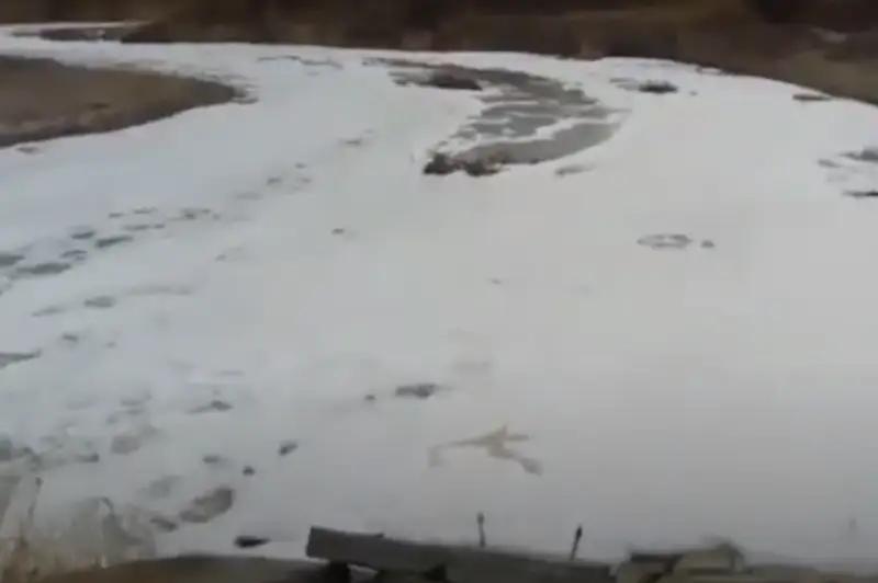 Пена высотой более 10 сантиметров появилась в горной реке Усек Алматинской области