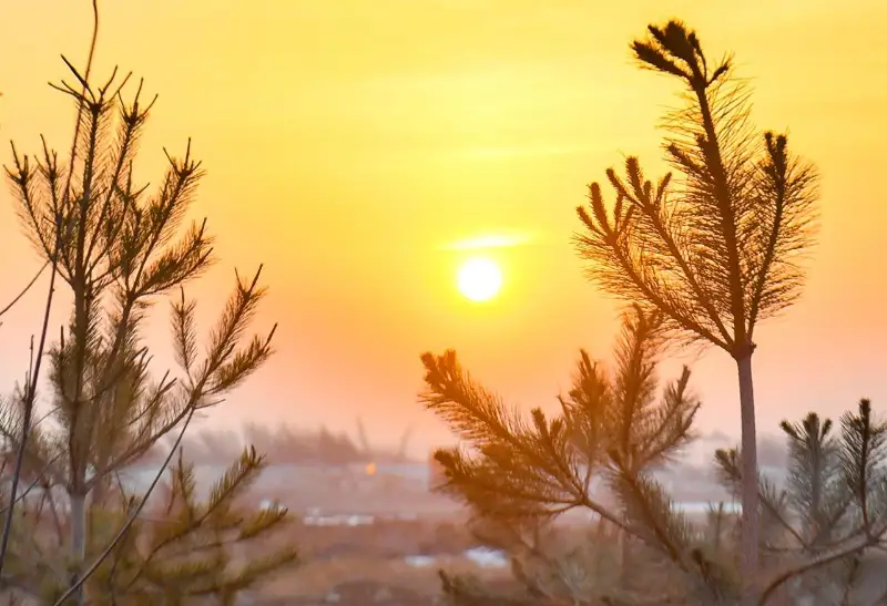 Как строят парки в Туркестане