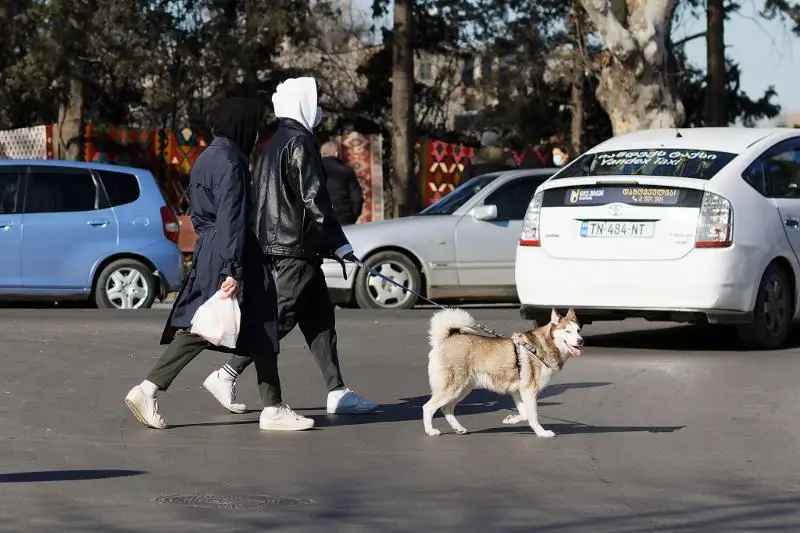Grýzııada «demalys kúngi karantın» engiziledi