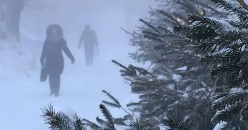 Низовая метель ожидается 10 января в столице