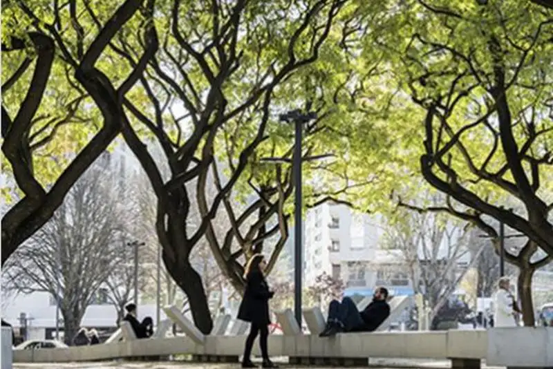 Дубовая аллея появится в Нур-Султане