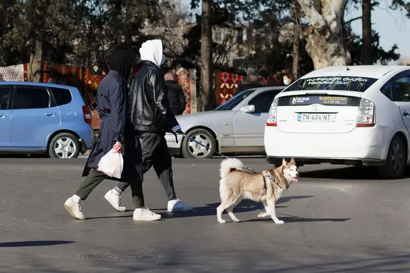 В Грузии введут «карантин выходного дня»