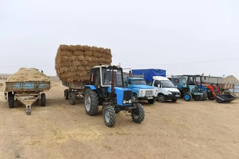 729,7 млрд тенге достиг объем сельхозпродукции в 2020 году в Туркестанской области