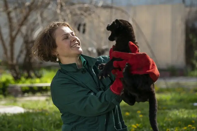 Еще один ягуар родился в зоопарке Алматы