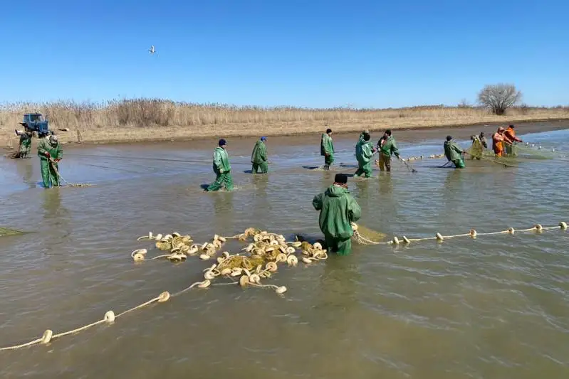 На западе Казахстана стартует широкомасштабная рыбоохранная акция «Бекіре»