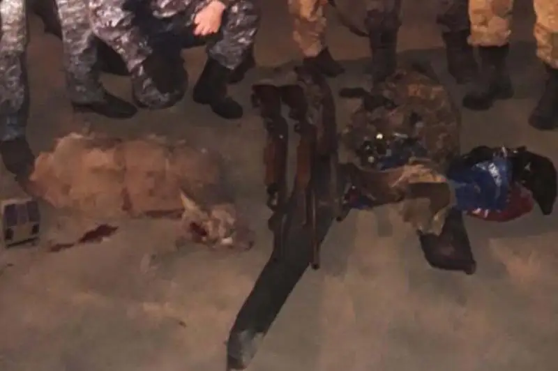 Убивших краснокнижного джейрана браконьеров задержали в Туркестанской области