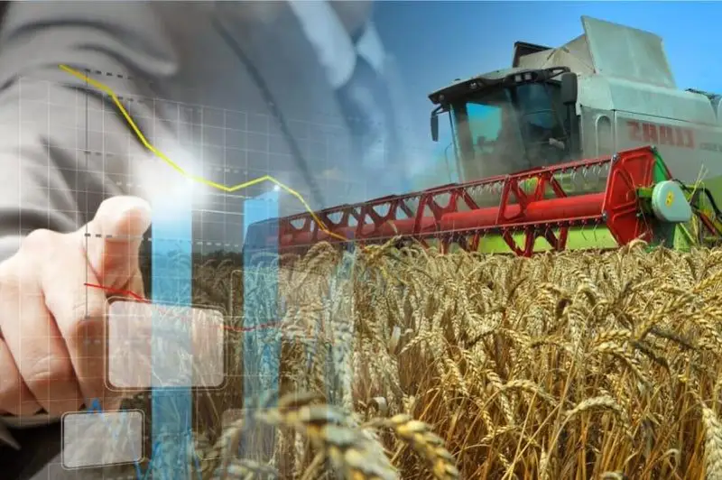 Увеличить сроки реализации аграрных научных проектов просит сенатор