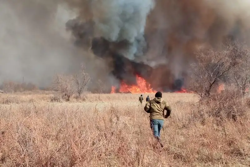 Огнеборцы Алматинской области продолжают борьбу с пожарами в Балхашском районе