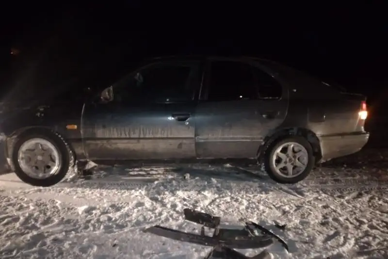 В шестой раз привлекли к ответственности владельца скота после очередного ДТП в СКО