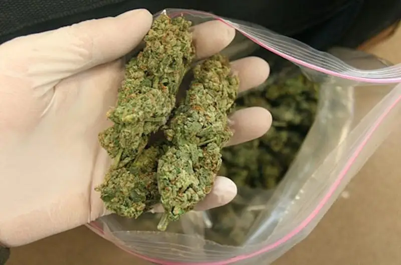 Спецоперацию по ликвидации «устойчивого канала» поставки наркотиков провели в столице