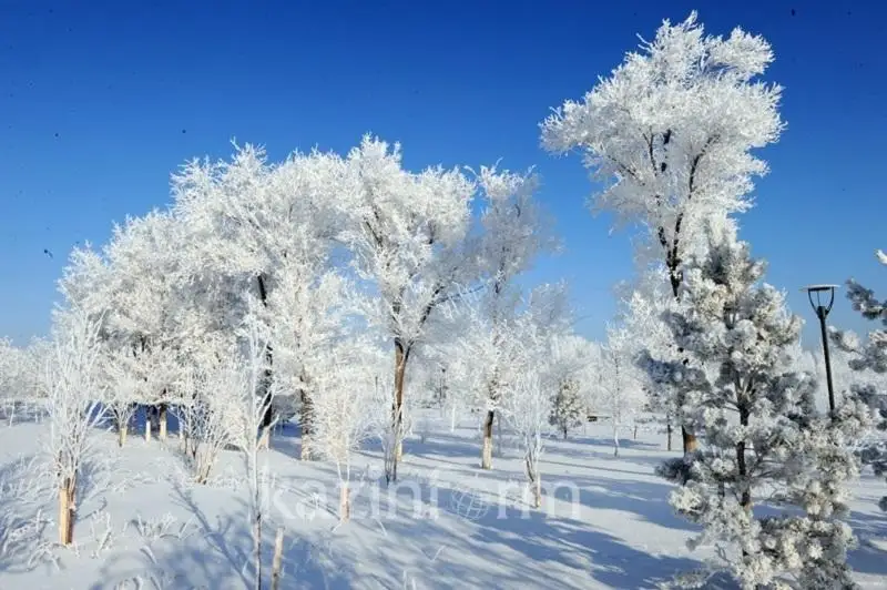 Какой будет последняя неделя января – прогноз синоптиков СКО