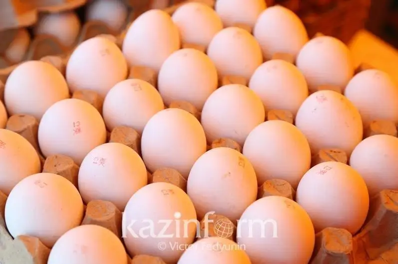 Qazaqstanda jumyrtqa óndirisi 8% - ǵa qysqardy