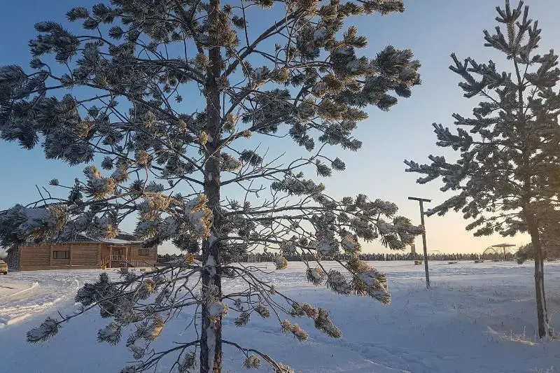 Санатории и базы отдыха в Костанайской области будут работать с заполняемостью не более 80 %