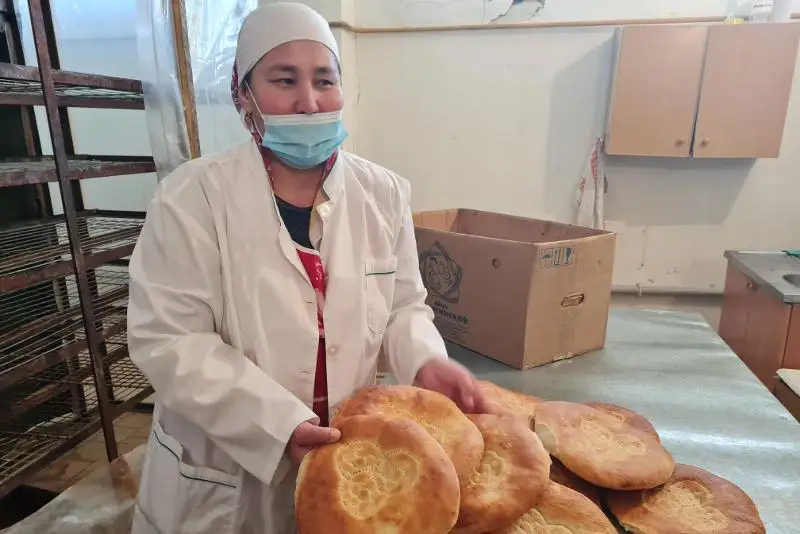 Что дает проект по повышению доходов сельчан, рассказали жамбылцы