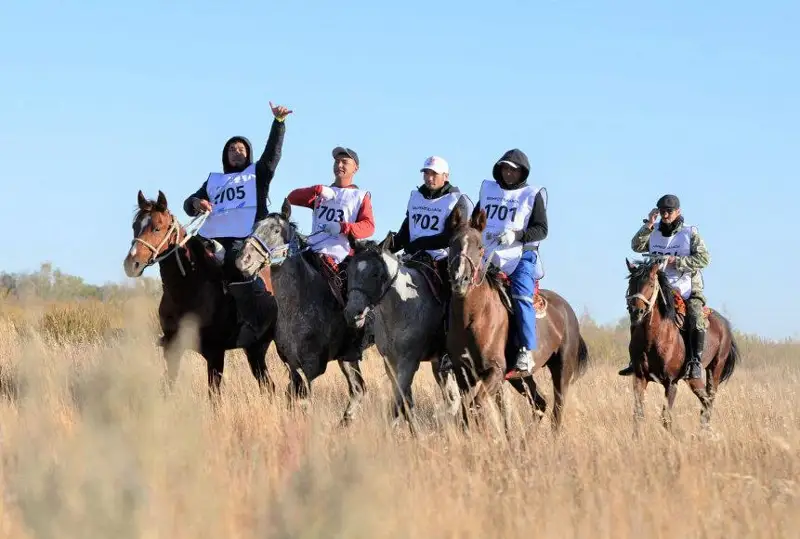 ۇلى دالا جورىعى: شاباندوزدار استانادان تۇركىستانعا جول تارتتى