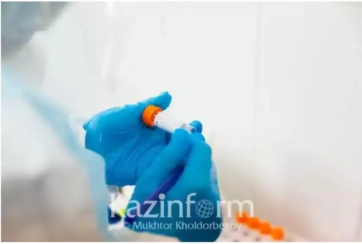 پولشادا «لەگيونەرلەر اۋرۋىنان» 14 ادام قازا تاپتى