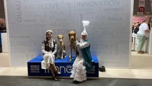 قازاقتىڭ تازىسى جەنەۆاداعى جارىستا جەڭىمپاز اتاندى