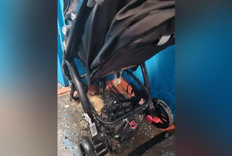 باقىتجان بازاربەك: بۇل ارەكەت - قاساقانا ارانداتۋ