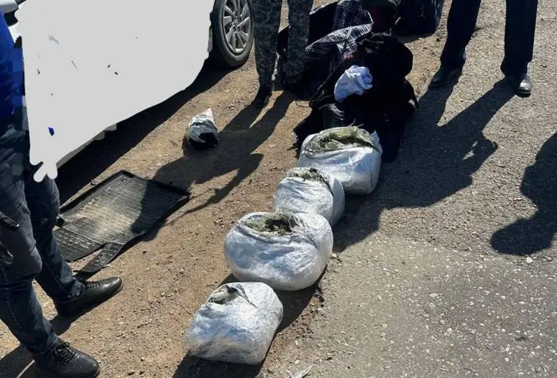 15 кг марихуаны обнаружили в авто полицейские области Улытау