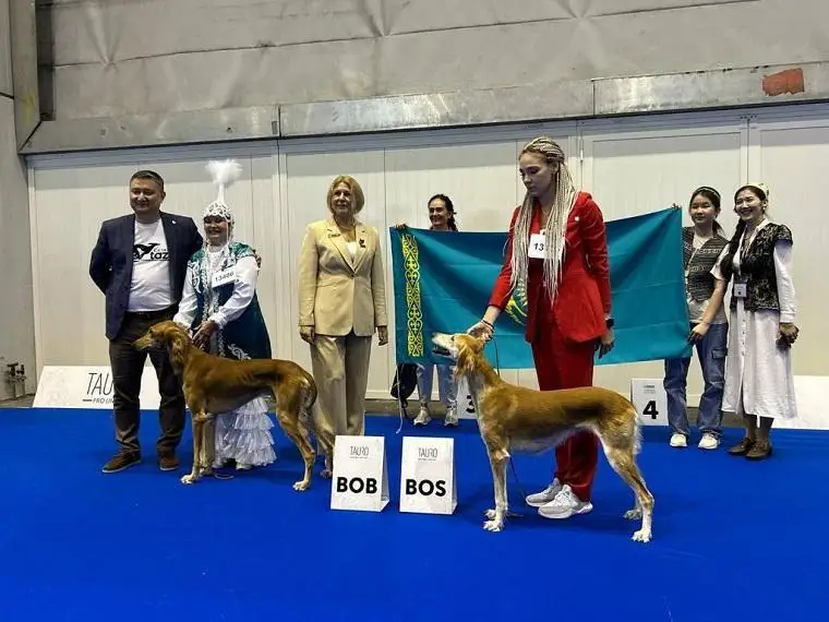 Қозоғистонлик қўш тази Швейцарияда ўтказилган жаҳон чемпионатида ғолибликни қўлга киритди