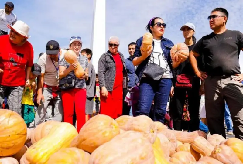 پيراميداعا شىققان تاجىكستاندىقتاردىڭ وزدەرى - اكىمدىك جارمەڭكەدەگى ۆيدەوعا تۇسىنىك بەردى