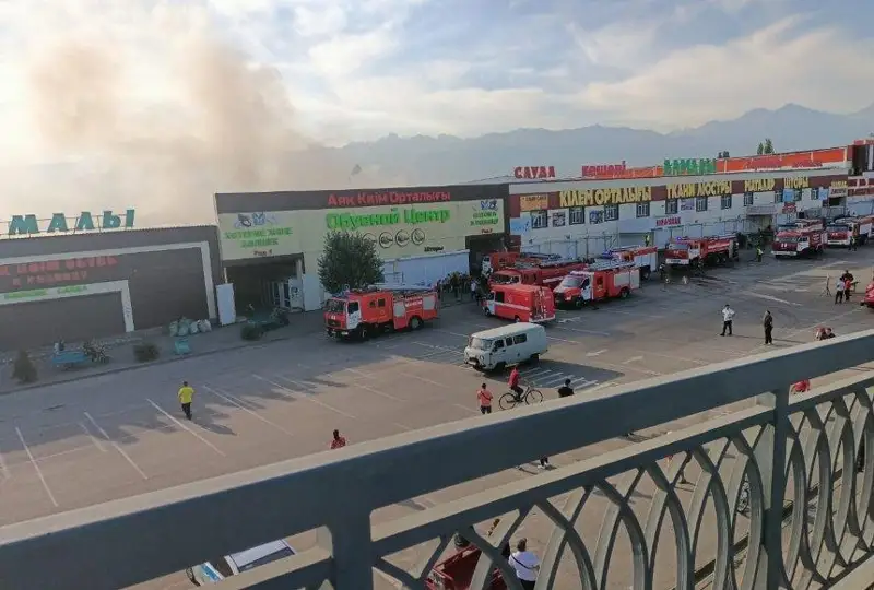 الماتىدا باراحولكا بازارىنان تاعى ءورت شىقتى - ۆيدەو