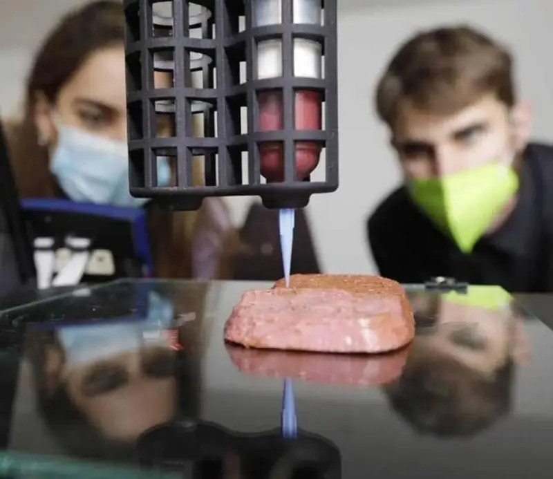 Сунъий гўшт маҳсулоти келажак таоми бўла оладими