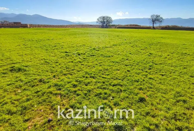 Более 800 тысяч га земли были незаконно заложены финансовыми организациями – сенатор