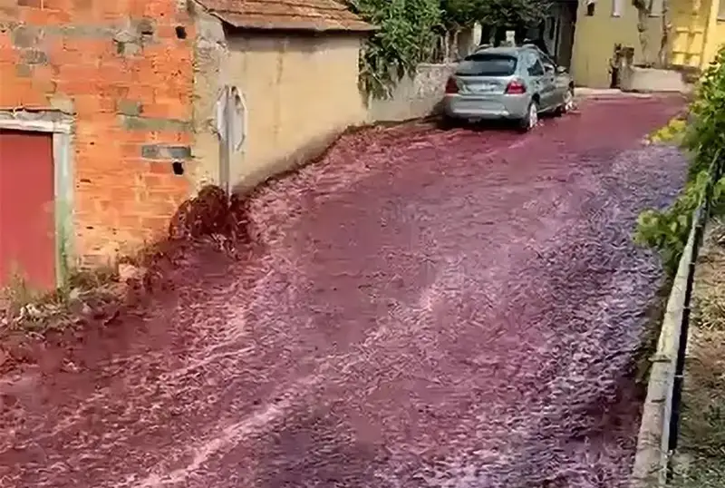 Португалиядаги шаҳар кўчаларидан вино оқди