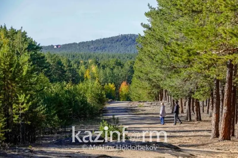 Десять тысяч раз казахстанцы нарушили природоохранное законодательство с начала года