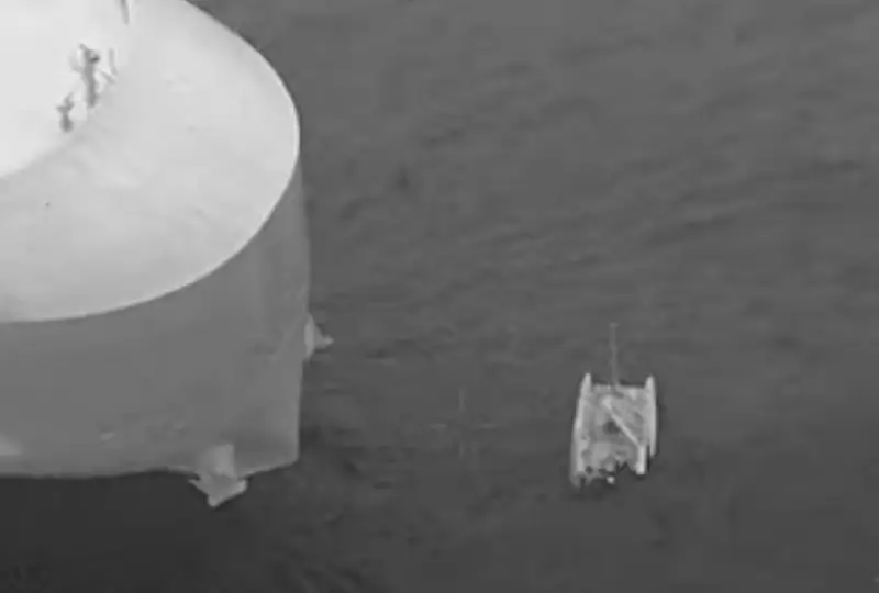 Австралия қирғоқлари яқинида акулалар тўдаси катамаранга ҳужум қилди