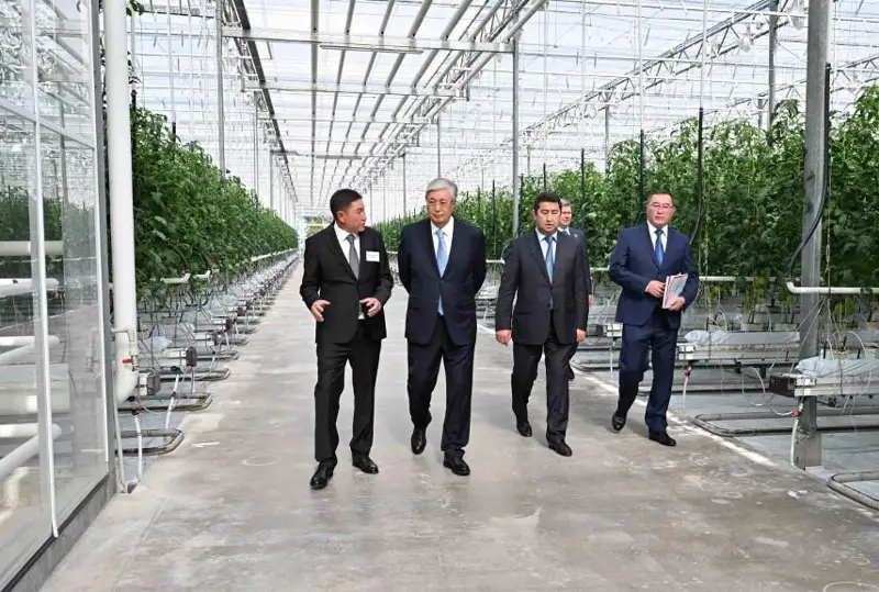 Prezıdent qyzanaq pen kóshet ósirýge mamandanǵan «Lst Agro» JShS jylyjaı keshenin aralap kórdi