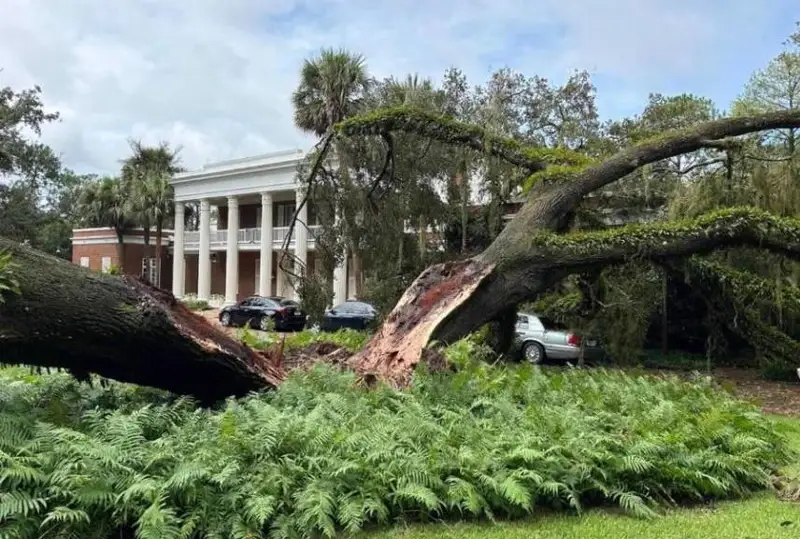 «Идалия» тўфони Қўшма Штатларга етиб келди: ўн минглаб аҳоли электрсиз қолди