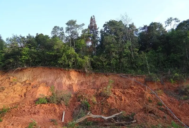 كوشكىن سالدارىنان فرانسيا مەن يتاليا اراسىنداعى قاتىناس توقتادى