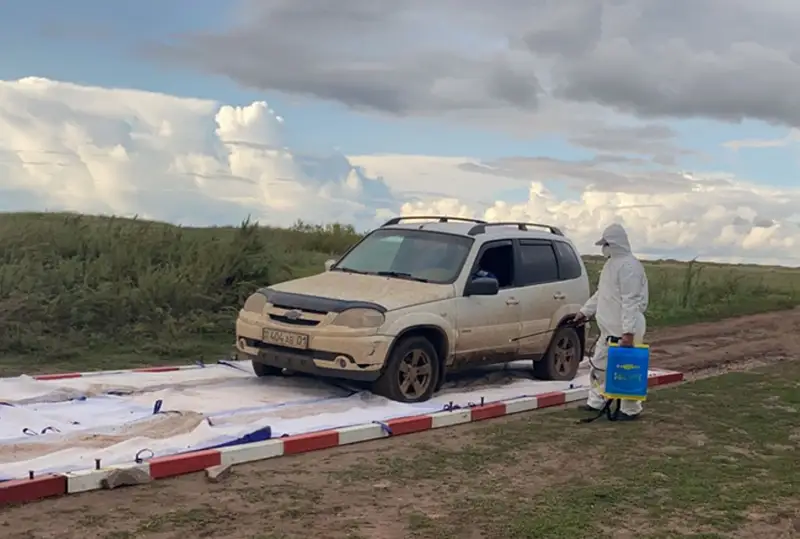 Ветврачи рассматривают различные версии заражения скота сибирской язвой в Ушкарасу