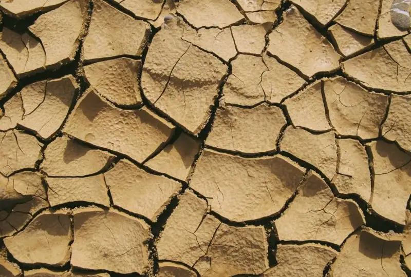 سۋ ءۇشىن كۇرەس: قاقتىعىستار تۋىنداۋى مۇمكىن 5 ايماق