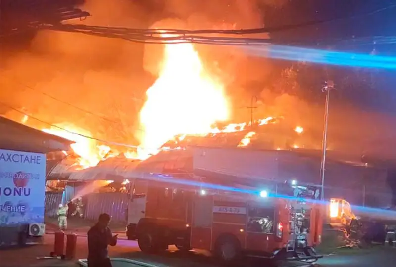 الماتىدا لامينات قويماسى ورتەندى