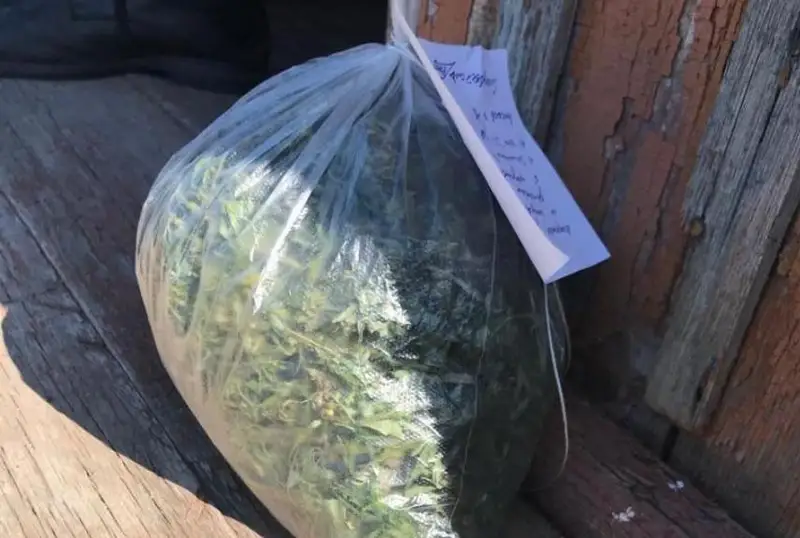 Keptirilgen 6 kg marıhýana: Aqmola oblysynda aýyl turǵyny úıinde esirtki saqtaǵan