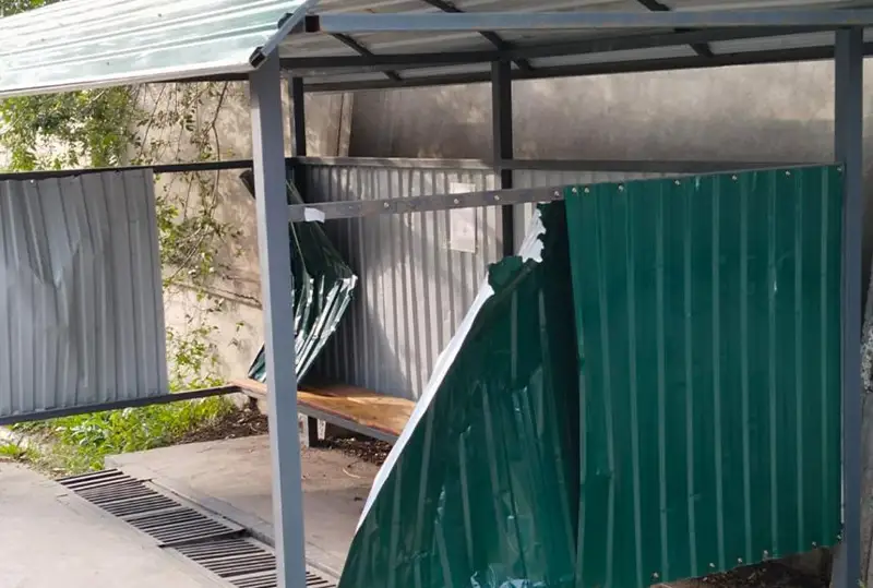 ش ق و-دا ەرمەك ءۇشىن ايالدامانى تالقانداعان ءۇش جىگىت 7 جىلعا سوتتالۋى مۇمكىن