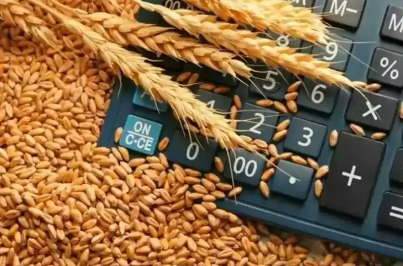 哈萨克斯坦优质小麦价格上涨
