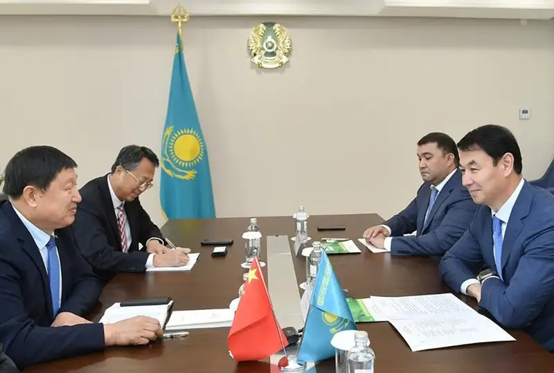 Туркистонда туя сути қуруқ таблетка шаклида тайёрланади