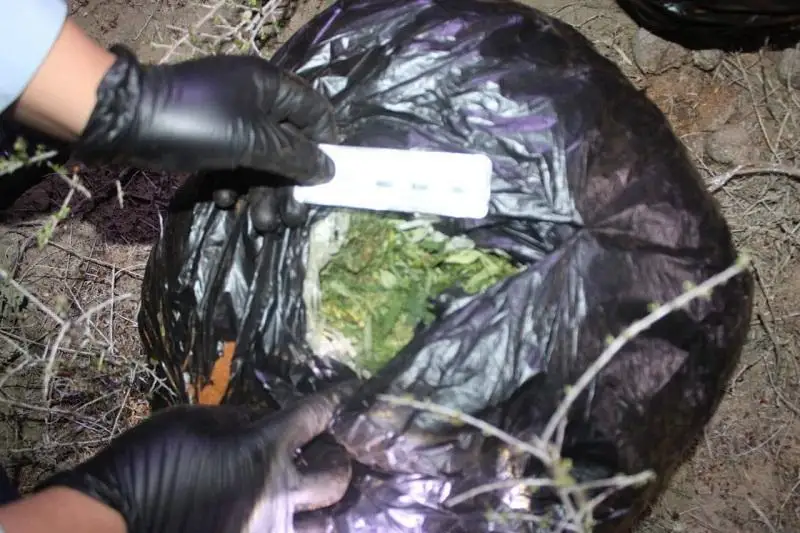 Двух мужчин с более чем 25 кг наркотиков задержали в Кызылординской области