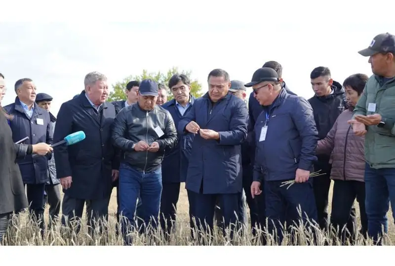 Комиссию по проблемным вопросам уборочной кампании создали в Акмолинской области
