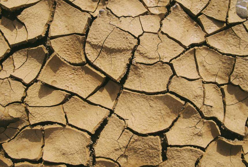 Мен ақша үшін кеудесі бар қызды сиқтым