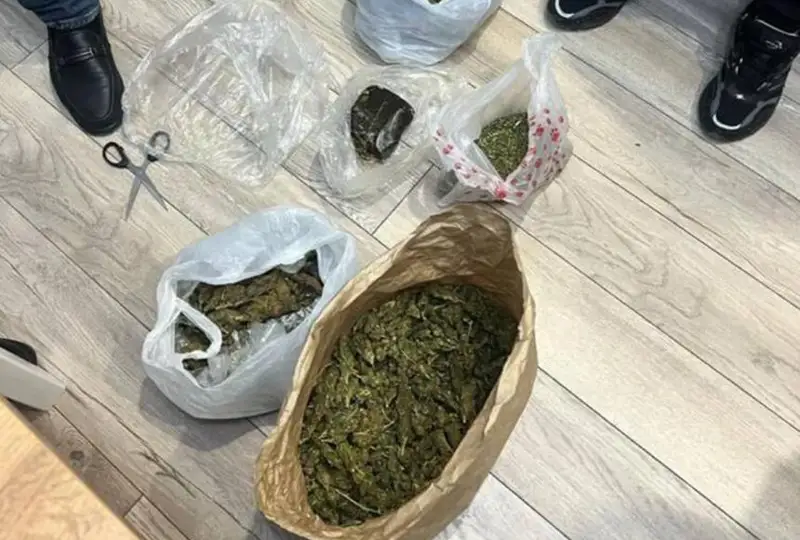 ەلوردالىق ەكى ازامات ەسىرتكى ساتقانى ءۇشىن قۇرىقتالدى