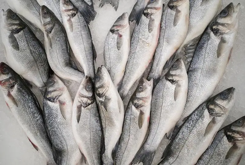 Китай приостанавливает импорт морепродуктов из Японии из-за сброса воды с АЭС «Фукусима»