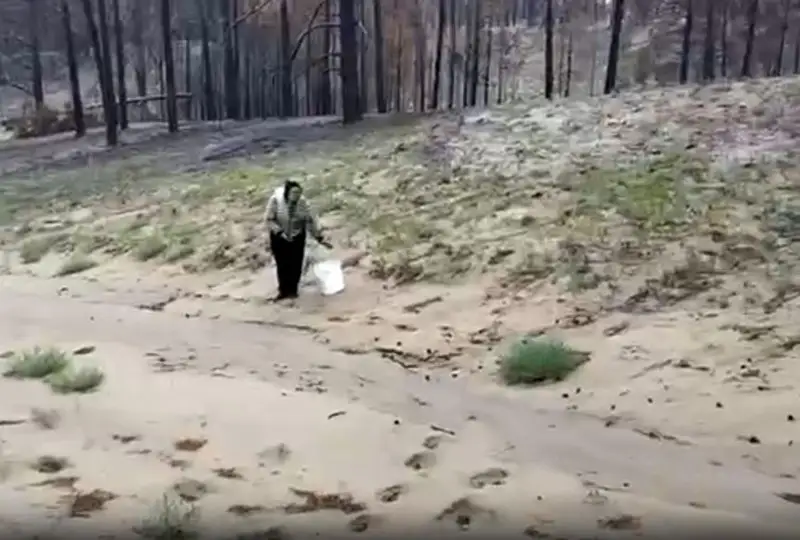 Почти сутки искали пропавших грибников в области Абай